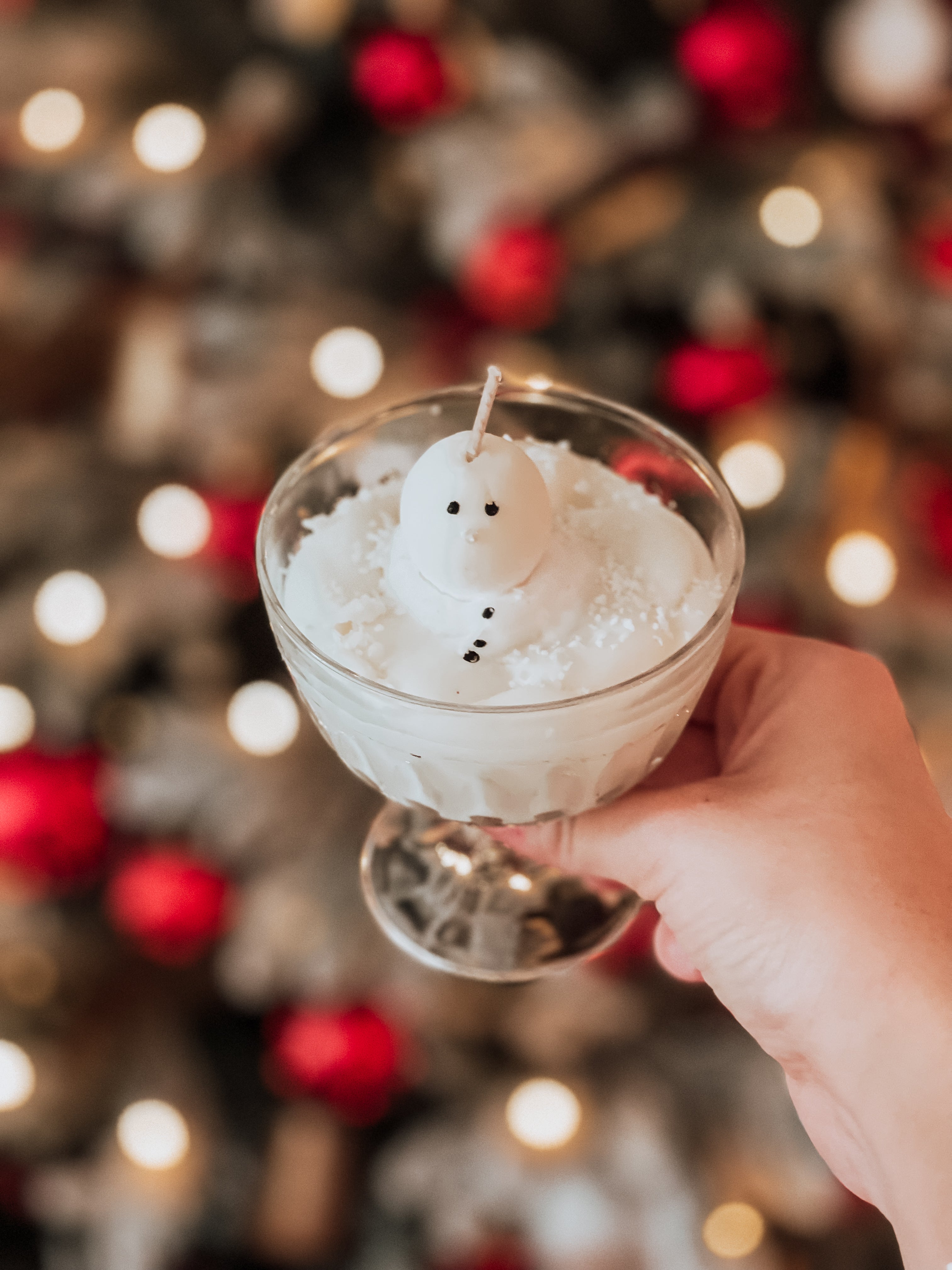 Melted Snowman ☃️