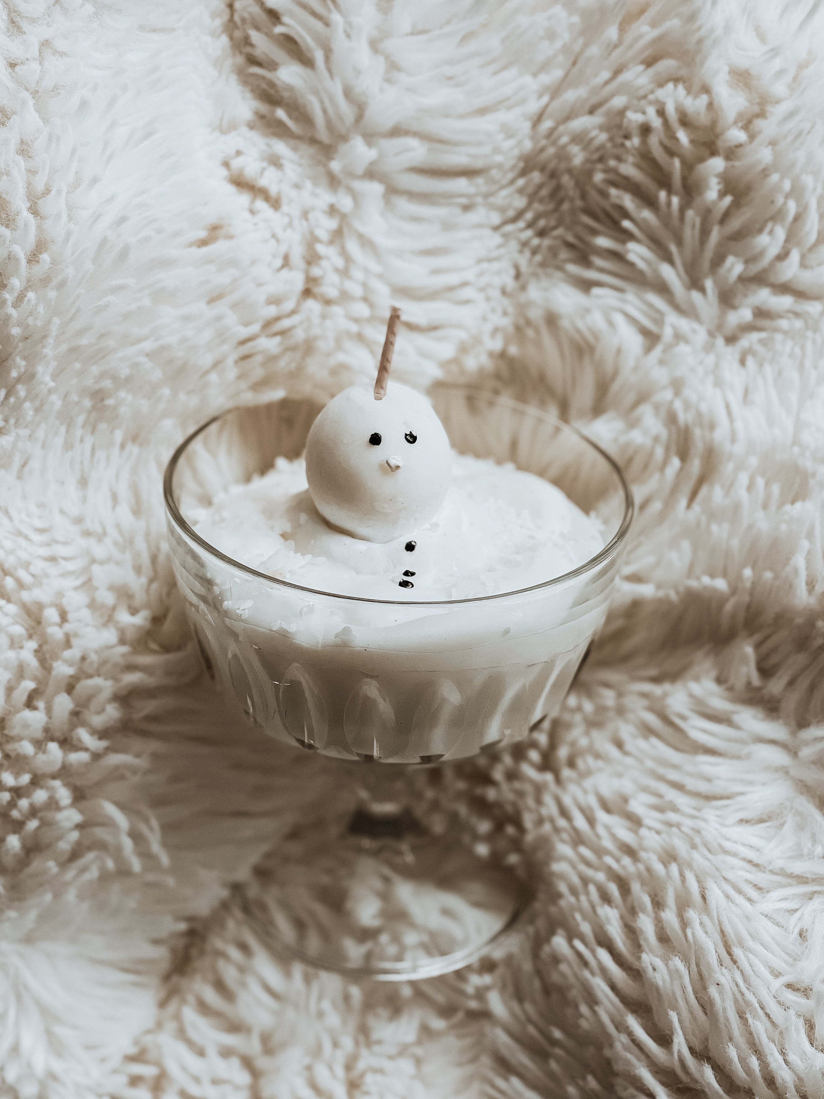 Melted Snowman ☃️